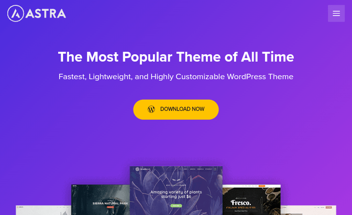 2. Astra Theme

10 Best Free WordPress Themes For Bloggers
