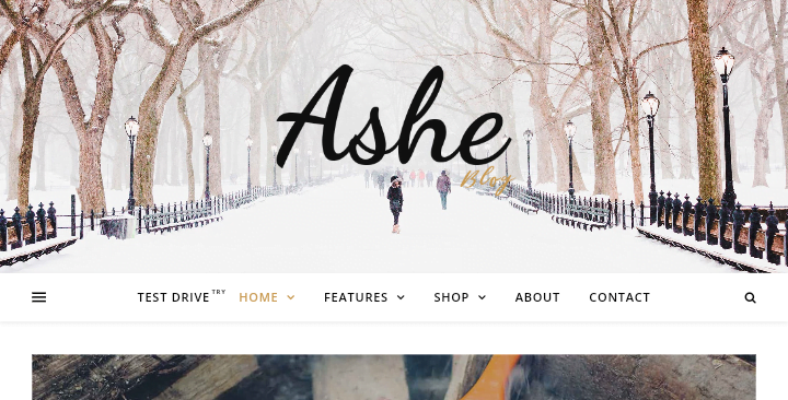 10: Ashe Theme

10 Best Free WordPress Themes For Bloggers